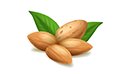 堅(jiān)果醬系列